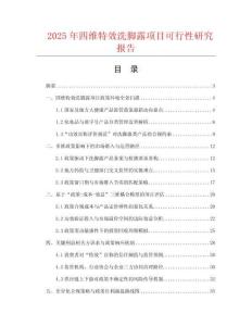 2025年四維特效洗腳露項目可行性研究報告