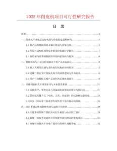 2025年削皮机项目可行性研究报告