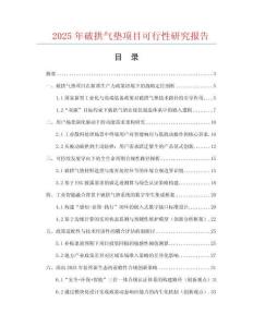 2025年破拱氣墊項目可行性研究報告