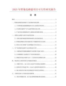 2025年野菊花蜂蜜項目可行性研究報告