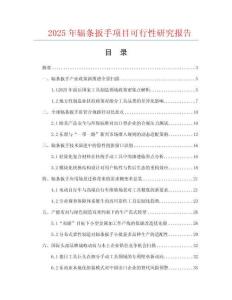2025年輻條扳手項(xiàng)目可行性研究報(bào)告