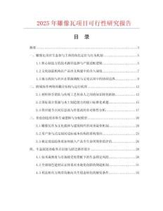 2025年雕像瓦項目可行性研究報告