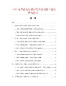 2025年單指向駐極體傳聲器項目可行性研究報告