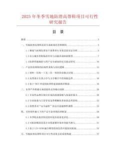 2025年冬季雪地防滑高幫鞋項(xiàng)目可行性研究報(bào)告
