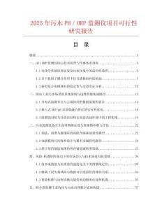 2025年污水PH／ORP監(jiān)測儀項目可行性研究報告