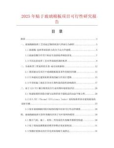 2025年貼于玻璃棉板項目可行性研究報告