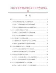 2025年双管摆动喷咀项目可行性研究报告