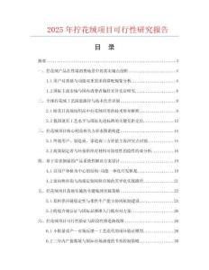 2025年擰花絨項目可行性研究報告