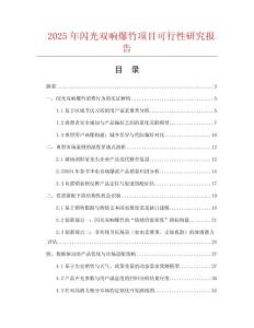 2025年閃光雙響爆竹項(xiàng)目可行性研究報告