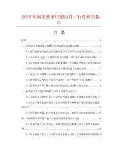 2025年間硝基苯甲酸項目可行性研究報告