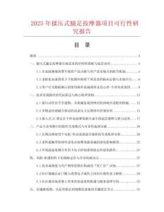 2025年揉壓式腿足按摩器項目可行性研究報告