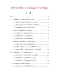 2025年抗噪聲耳罩項目可行性研究報告