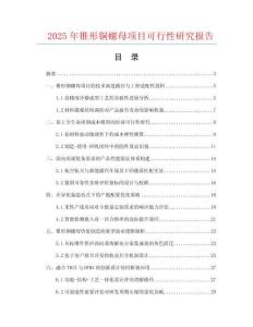 2025年錐形銅螺母項目可行性研究報告