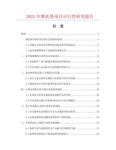 2025年摩托墊項(xiàng)目可行性研究報(bào)告