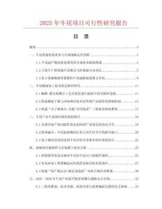 2025年牛尾項(xiàng)目可行性研究報(bào)告