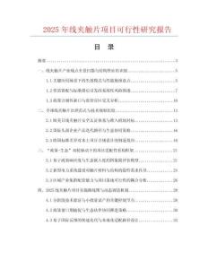 2025年線夾觸片項(xiàng)目可行性研究報(bào)告
