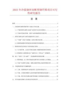 2025年冷拔鋼絲切斷型鋼纖維項目可行性研究報告