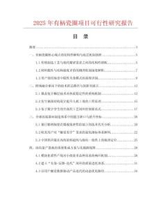2025年有柄瓷圈項(xiàng)目可行性研究報(bào)告