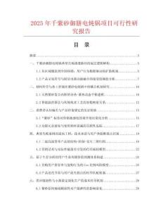 2025年千紫砂御膳電燉鍋項目可行性研究報告