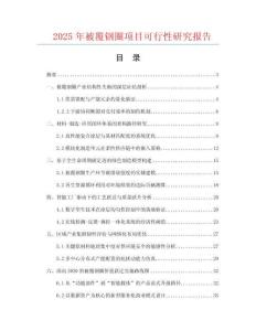 2025年被覆鋼圈項(xiàng)目可行性研究報(bào)告