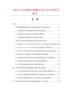 2025年不銹鋼凹端螺釘項目可行性研究報告