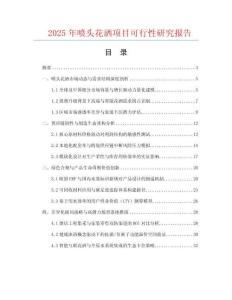 2025年噴頭花灑項(xiàng)目可行性研究報(bào)告