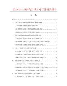 2025年三刃斜角刀項(xiàng)目可行性研究報(bào)告
