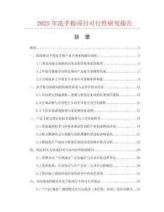 2025年洗手粉項目可行性研究報告