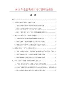 2025年毛毯袋項目可行性研究報告