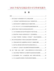 2025年鴕鳥毛制品項目可行性研究報告