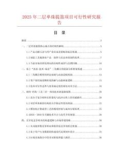 2025年二層單珠提籃項目可行性研究報告