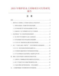 2025年鍋爐給水上回閥項(xiàng)目可行性研究報(bào)告