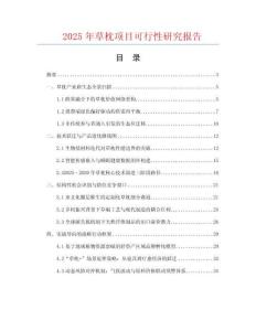 2025年草枕項目可行性研究報告