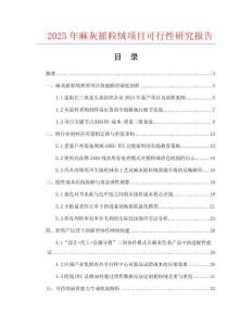 2025年麻灰搖粒絨項(xiàng)目可行性研究報(bào)告