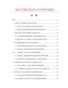 2025年賽拉氈項(xiàng)目可行性研究報(bào)告