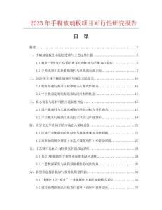 2025年手糊玻璃板项目可行性研究报告