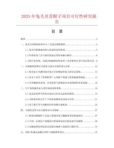 2025年兔毛貝雷帽子項(xiàng)目可行性研究報(bào)告
