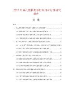 2025年雙孔塑料架彩燈項(xiàng)目可行性研究報(bào)告