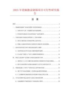 2025年瓷柄搪蓋燒鍋項目可行性研究報告