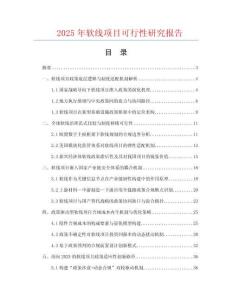 2025年軟線項目可行性研究報告