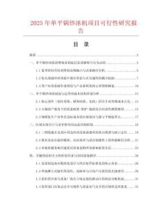 2025年單平鍋炒冰機(jī)項(xiàng)目可行性研究報(bào)告