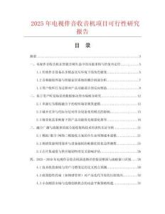 2025年電視伴音收音機項目可行性研究報告
