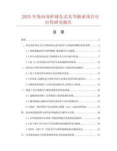 2025年角向雙桿球頭式關節軸承項目可行性研究報告