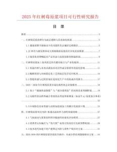 2025年紅樹莓原漿項目可行性研究報告
