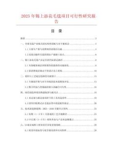 2025年錦上添花毛毯項目可行性研究報告