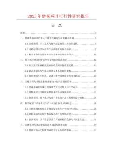 2025年僧襪項(xiàng)目可行性研究報(bào)告