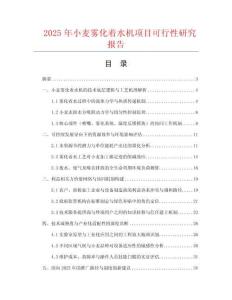 2025年小麥霧化著水機項目可行性研究報告