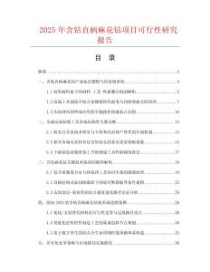 2025年含鈷直柄麻花鉆項目可行性研究報告