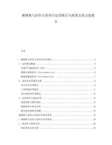 碳捕集與封存示范項目運(yùn)營模式與政策支持力度報告