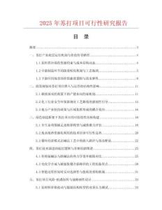 2025年蘇打項目可行性研究報告